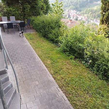 Das Tor Zum Odenwald Gorxheimertal 외부 사진