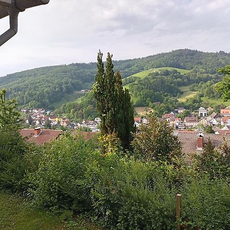 Das Tor Zum Odenwald Gorxheimertal 외부 사진