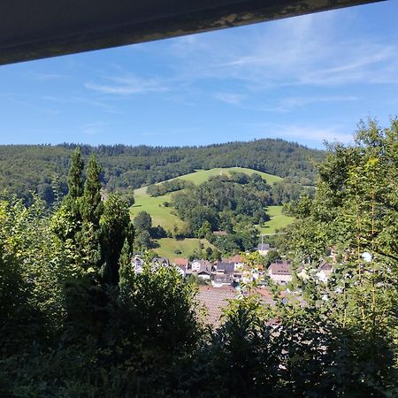 Das Tor Zum Odenwald Gorxheimertal 외부 사진
