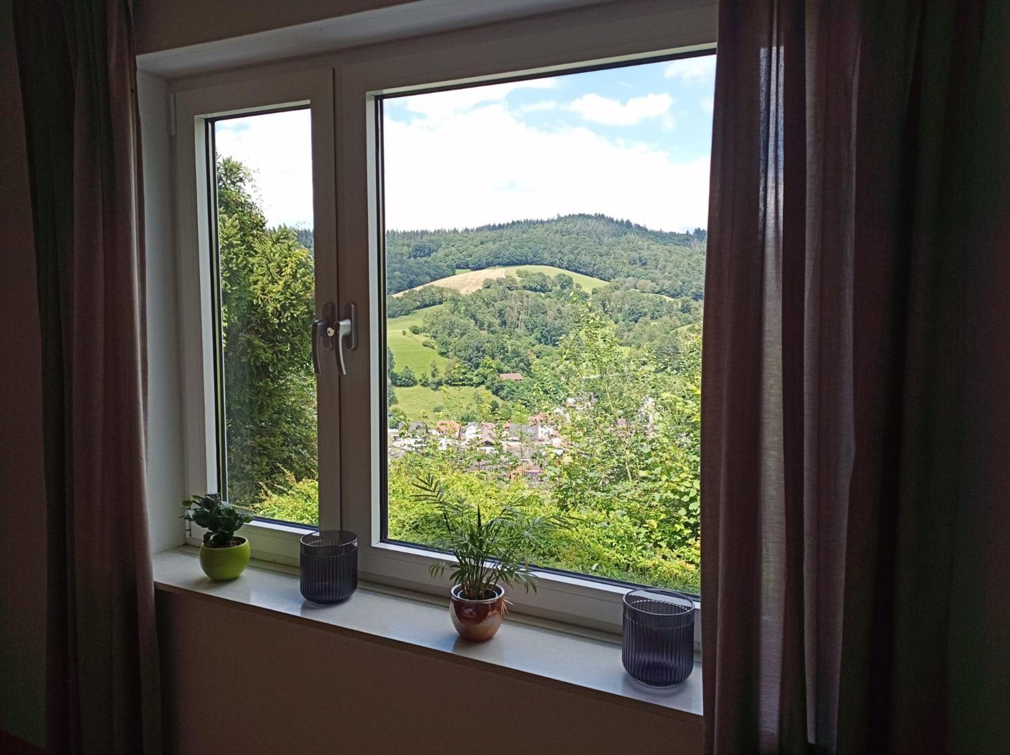 Das Tor Zum Odenwald Gorxheimertal 외부 사진