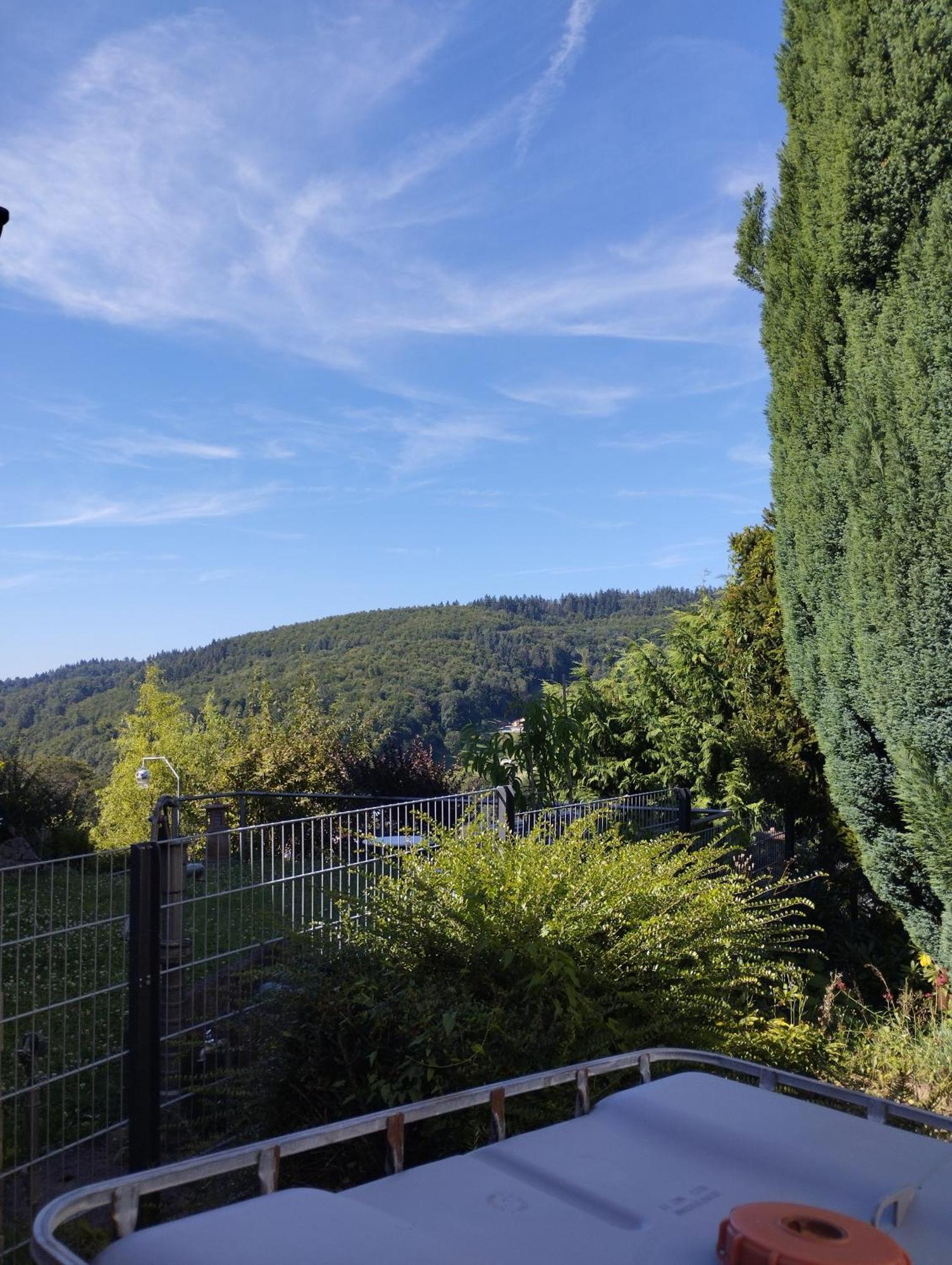 Das Tor Zum Odenwald Gorxheimertal 외부 사진