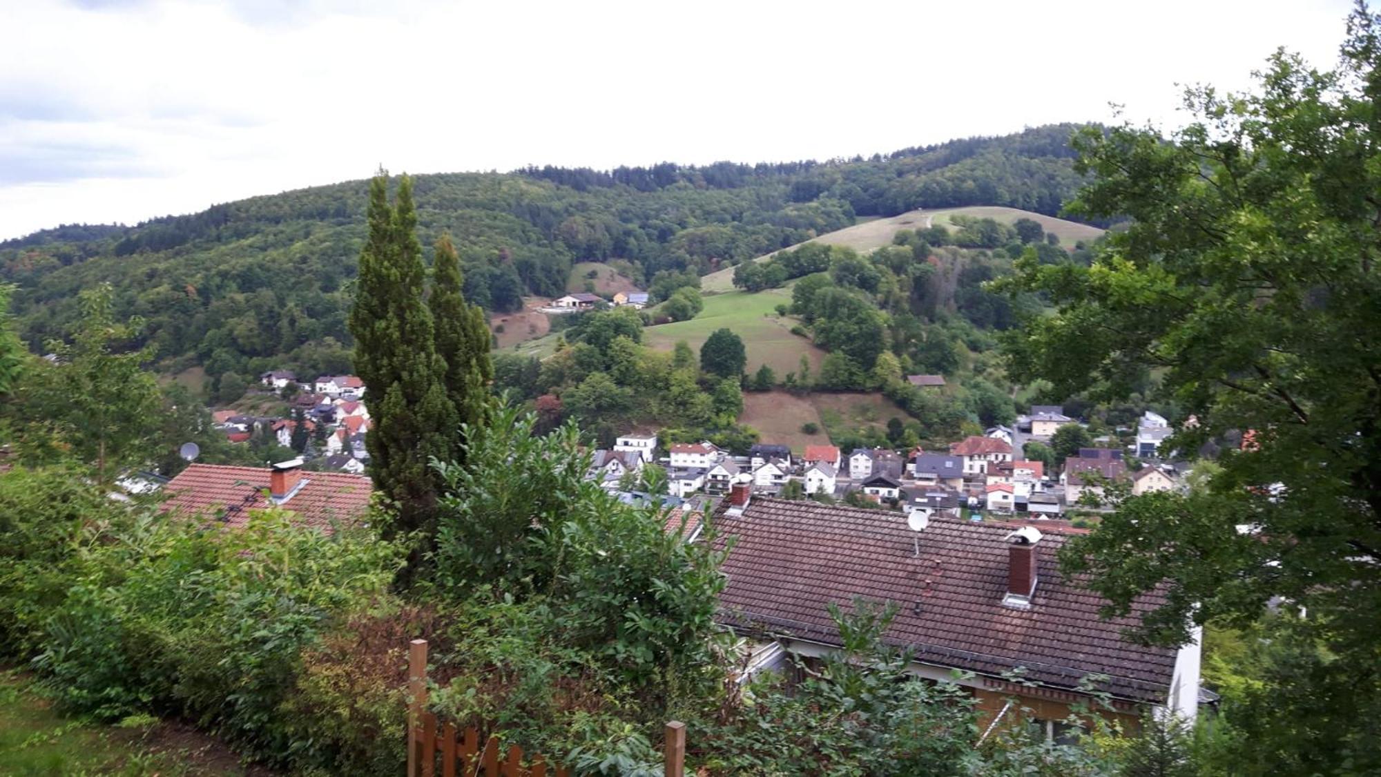 Das Tor Zum Odenwald Gorxheimertal 외부 사진