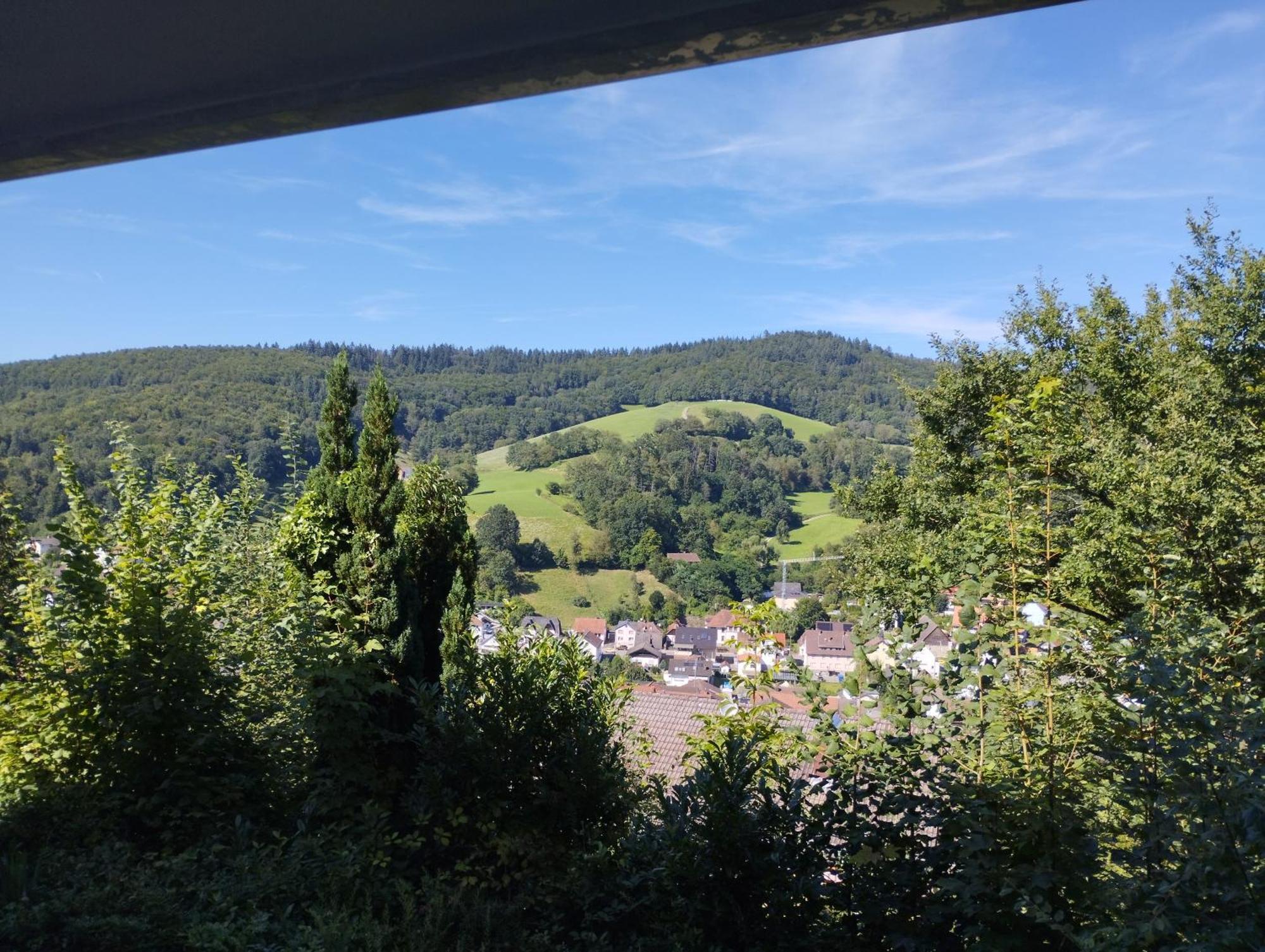 Das Tor Zum Odenwald Gorxheimertal 외부 사진