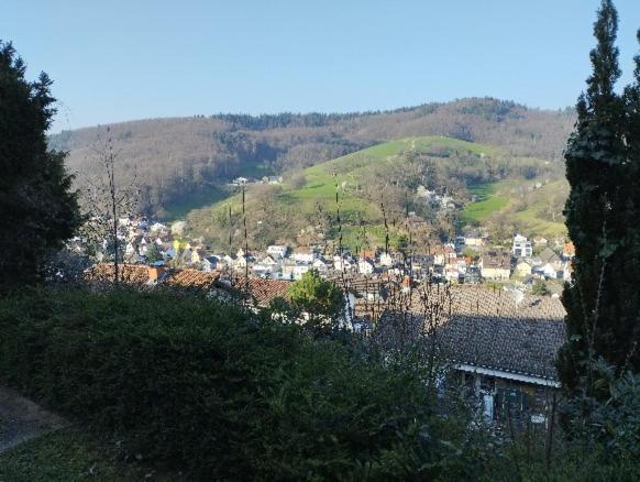 Das Tor Zum Odenwald Gorxheimertal 외부 사진